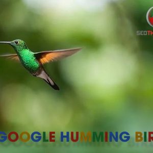 Thuật toán Google Hummingbird là gì & 4 cách để thân thiện với thuật toán