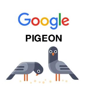 Google Pigeon là gì & Cơ chế hoạt động của thuật toán Pigeon