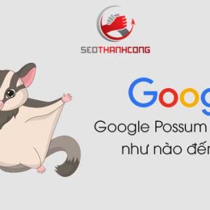 Thuật toán Google Possum ảnh hưởng như nào đến SEO