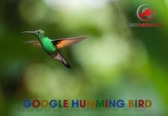 Thuật toán Google Hummingbird là gì & 4 cách để thân thiện với thuật toán