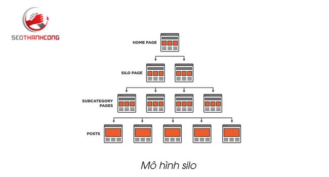 Cách tạo link liên kết trong web bằng mô hình silo