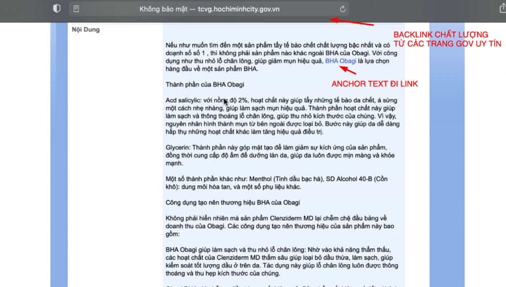  Ảnh demo link GOV Việt chất lượng