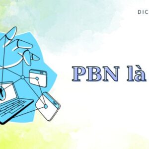 PBN là gì? Tại sao dịch vụ backlink PBN giúp bạn tăng thứ hạng trong SEO