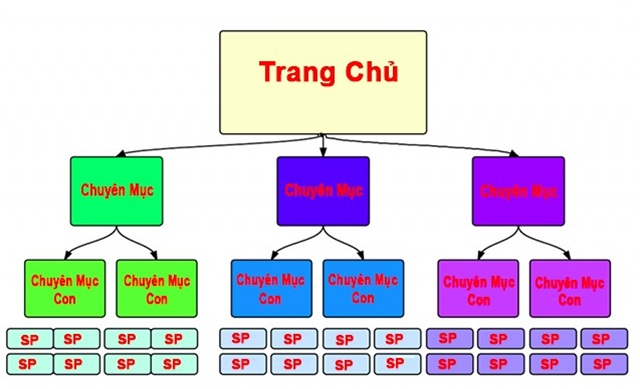 cấu trúc website