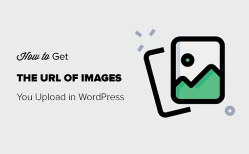 Image Url Image URL là gì? Cách hoạt động và cách sử dụng hiệu quả